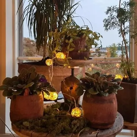 Seaside Dream With Jacuzzi Steinsland (Vestland)