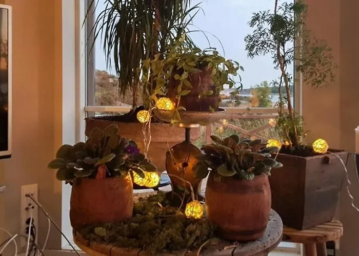 Seaside Dream With Jacuzzi Steinsland (Vestland)